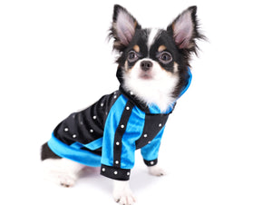 Smore Boy Just perfection