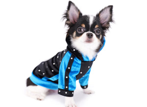 Smore Boy Just perfection