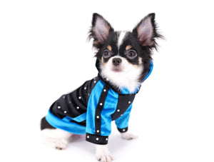 Smore Boy Just perfection