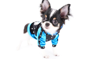 Smore Boy Just perfection