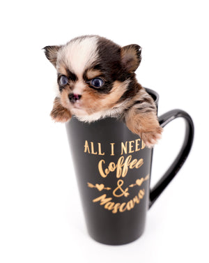 Nataly Blue Merle Blue Eyes Girl