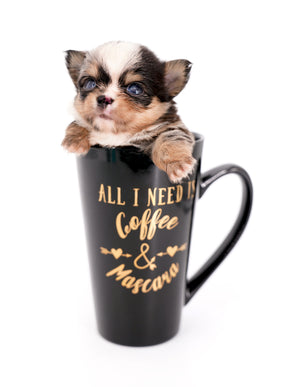 Nataly Blue Merle Blue Eyes Girl