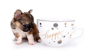 Lilly Bella Micro Teacup Girl