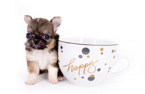 Lilly Bella Micro Teacup Girl