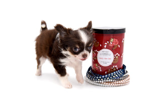 Sold Monroe Chocolate LC Girl