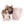 Lilly Bella Micro Teacup Girl