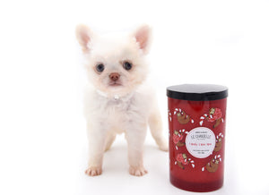 Bulgari's Sold to Anita NY