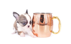 Annabelle Doll Face LC Girl