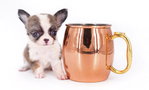 Annabelle Doll Face LC Girl