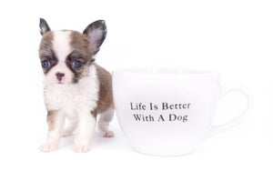 Annabelle Doll Face LC Girl