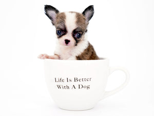 Annabelle Doll Face LC Girl