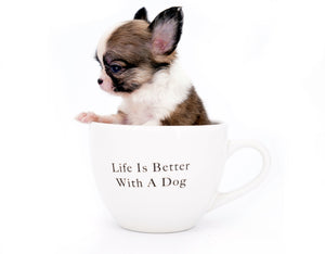 Annabelle Doll Face LC Girl