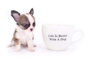 Annabelle Doll Face LC Girl