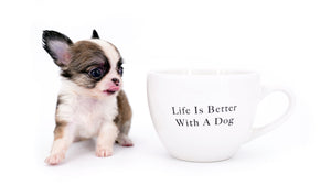 Annabelle Doll Face LC Girl