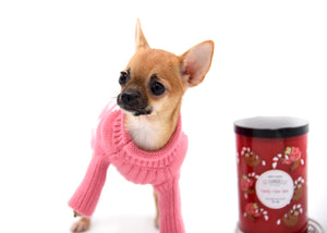 Molly SC Sable Girl