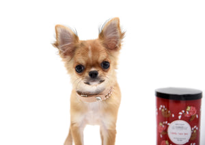 Adele Extreme Short Muzzle Doll Face Micro Girl