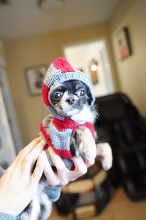 Diva Micro LC Girl