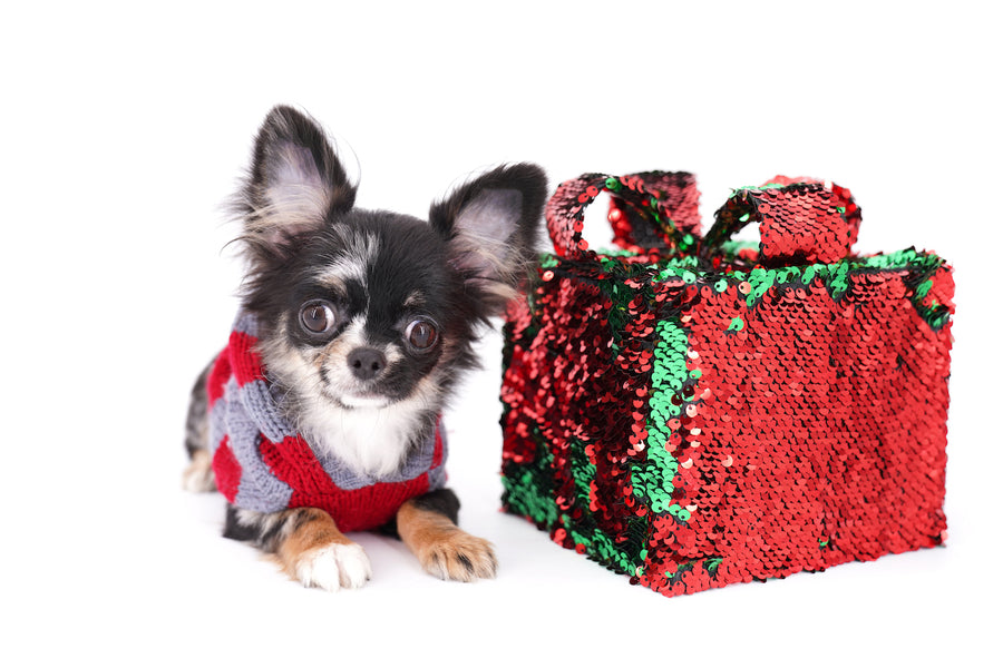 Diva Micro LC Girl