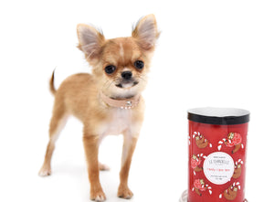 Adele Extreme Short Muzzle Doll Face Micro Girl