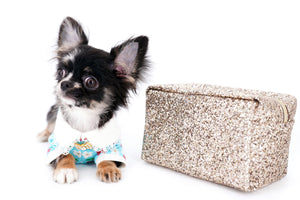 Diva Micro LC Girl