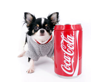 Smore Boy Just perfection