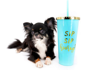 Birkin Doll  Extreme Short Muzzle Boy