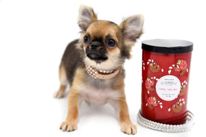 Mercedes Blue Sable LC Girl