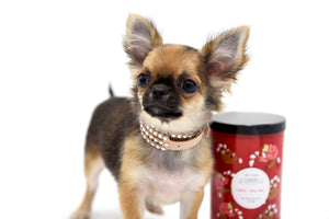 Mercedes Blue Sable LC Girl