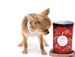 Adele Extreme Short Muzzle Doll Face Micro Girl