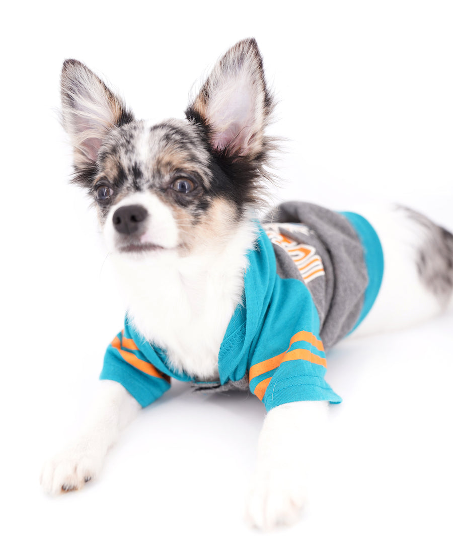 Marlon Micro Blue Merle Boy