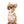 German Sable LC Boy
