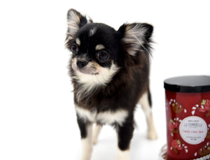 Micro Tricolor Camille