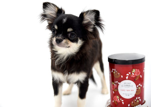 Micro Tricolor Camille