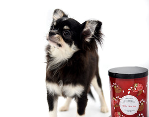 Micro Tricolor Camille