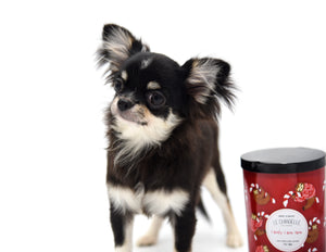 Micro Tricolor Camille