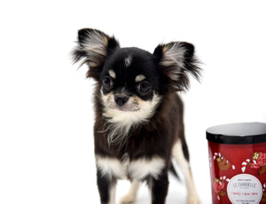 Micro Tricolor Camille