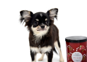 Micro Tricolor Camille