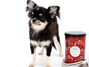 Micro Tricolor Camille