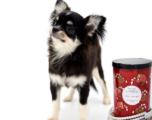 Micro Tricolor Camille