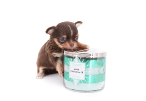 Aurora Micro Chocolate