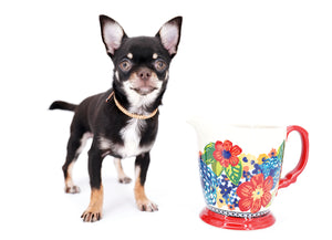 Aurora Micro SC Chocolate Green Eyes