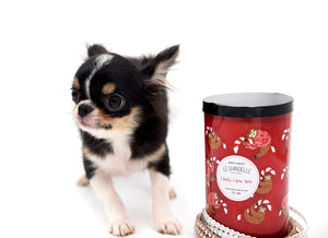 Adonis Extreme Doll Face Boy