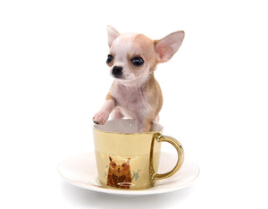 Sofia Micro Doll Girl