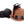Konay LC Teacup Extreme short muzzle