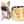 Milan West Teacup SC Blue Fawn Boy