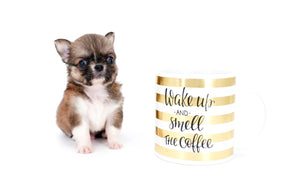 Miny is a micro teacup LC Sable Boy
