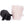 Konay LC Teacup Extreme short muzzle