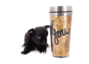 Konay LC Teacup Extreme short muzzle