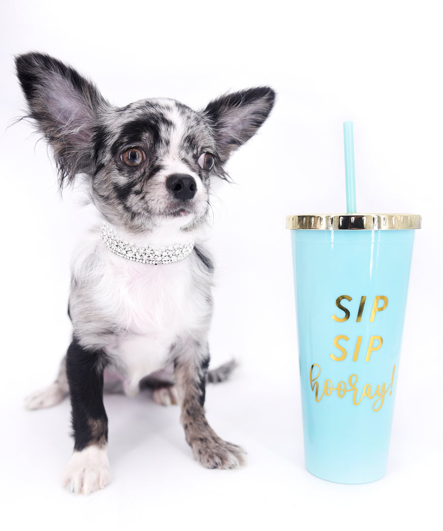 Marly Blue Merle LC Teacup Boy