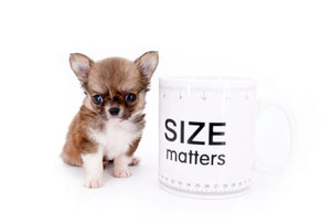 Miny is a micro teacup LC Sable Boy